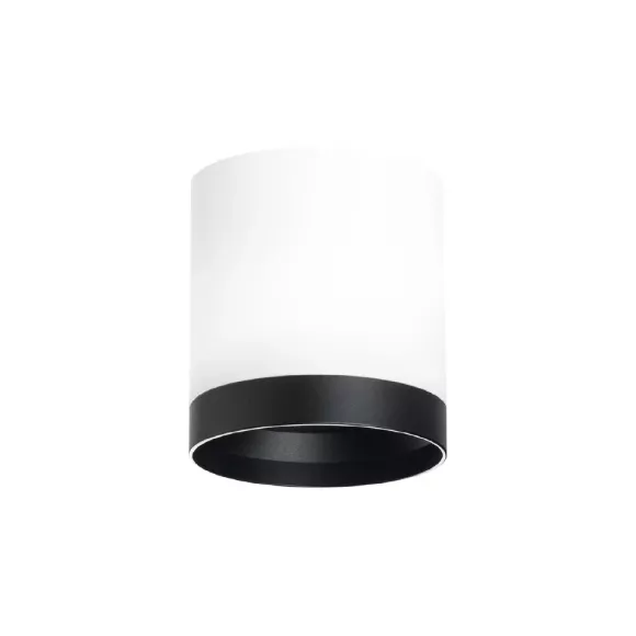 Накладной светильник Lightstar Rullo (213486+203487) R34863487 Накладной светильник Lightstar Rullo (213486+203487) R34863487