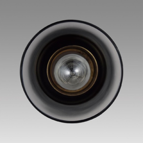 Подвесной светильник Lumion Isha 8101/1A