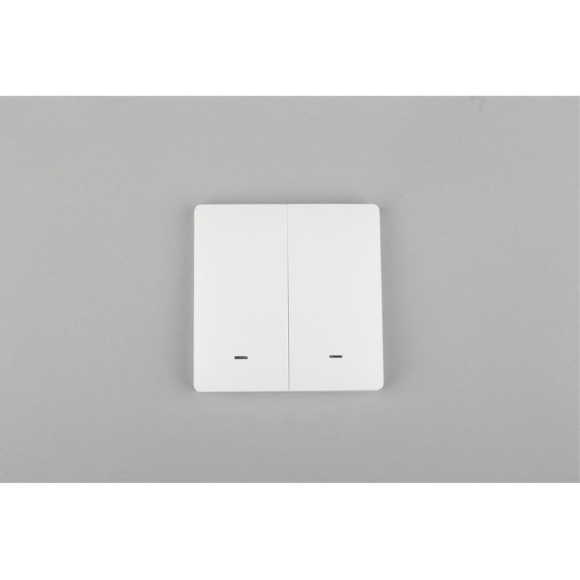 Выключатель двухклавишный Aployt Magnetic track 220 APL.0190.00.02