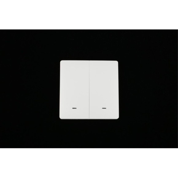 Выключатель двухклавишный Aployt Magnetic track 220 APL.0190.00.02