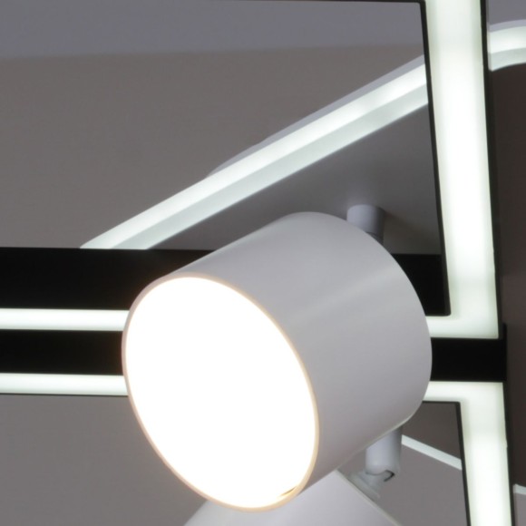 Потолочная светодиодная люстра Reluce 75406-0.3-4+4+1