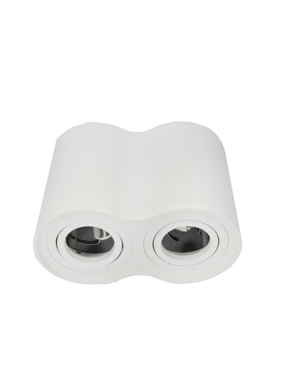 Потолочный светильник Elvan 507 NC-507-2RM-WH