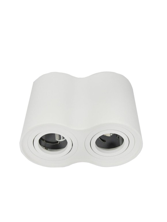 Потолочный светильник Elvan 507 NC-507-2RM-WH