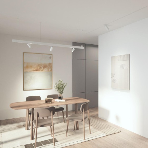 Трековый однофазный светильник Denkirs Simple Spot DK8220-WH