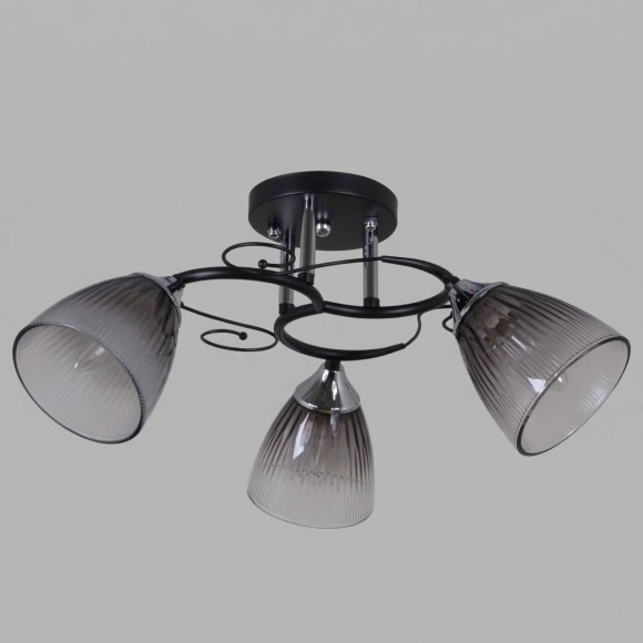 Потолочный светильник Reluce 13560-0.3-03 BK+CR