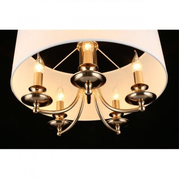 Подвесная люстра APLOYT Berze APL.721.06.05