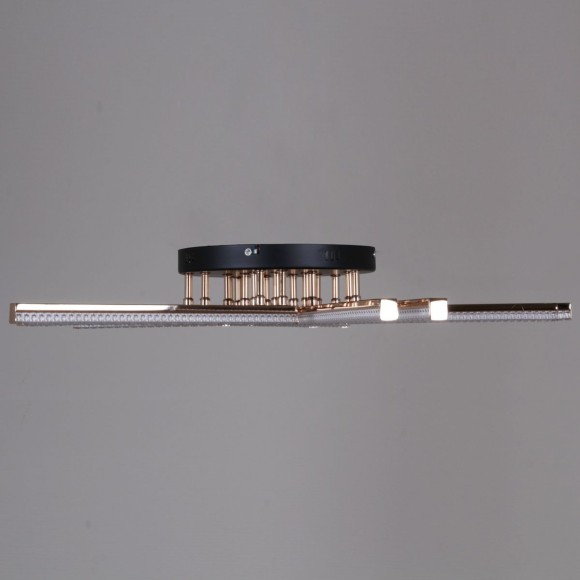 Потолочная светодиодная люстра Reluce 17090-0.3-10 BK+FG