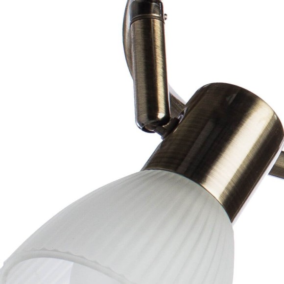 Спот Arte Lamp Parry A5062PL-3AB, E14, 120W, белый