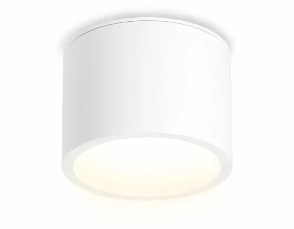 Накладной светильник Ambrella Light IP Protect TN6550 Накладной светильник Ambrella Light IP Protect TN6550