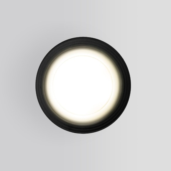 Уличный потолочный светильник Elektrostandard Light 4690389175916