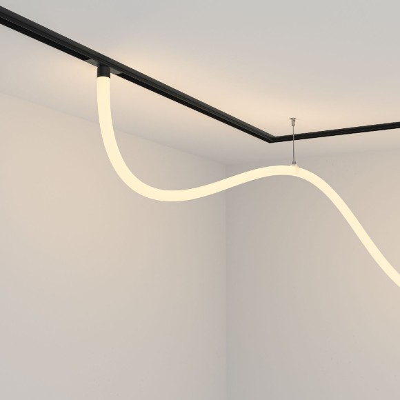 Трековый магнитный светильник Maytoni Tau TR101-2-50W3K-B