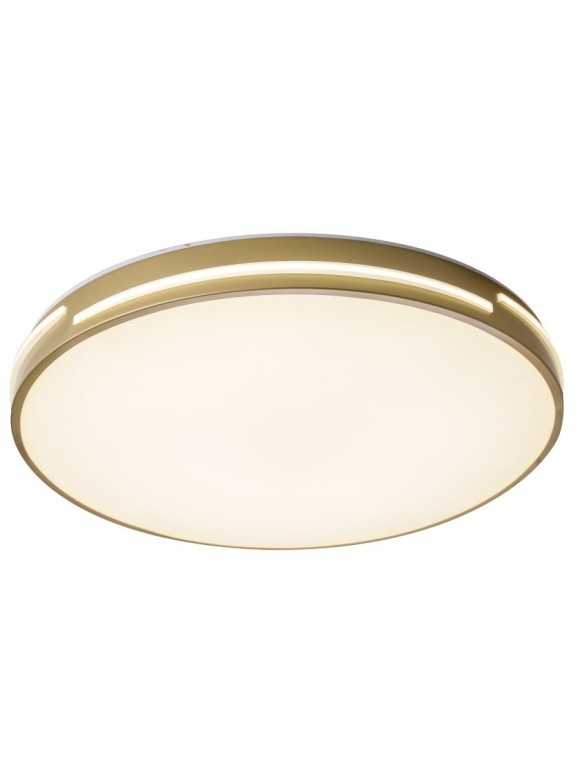 Потолочный светильник Zortes Gabby ZRS.90610.50