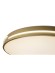 Потолочный светильник Zortes Gabby ZRS.90610.50