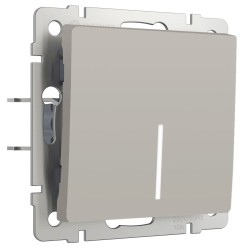 Выключатель одноклавишный проходной с подсветкой Werkel W1212104 4690389211898 a069450