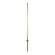 Настенный Светильник Loft IT Rays 10054GD