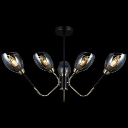 Люстра на штанге Illumico IL9960-6CSQ-79 BK AB