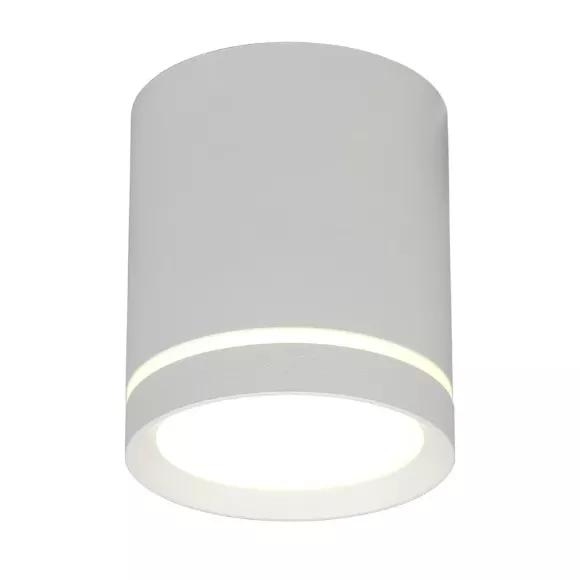 Накладной светильник Omnilux Capurso OML-102429-05