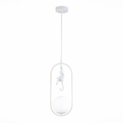 Подвесной светильник Evoluce Tenato SLE115123-01