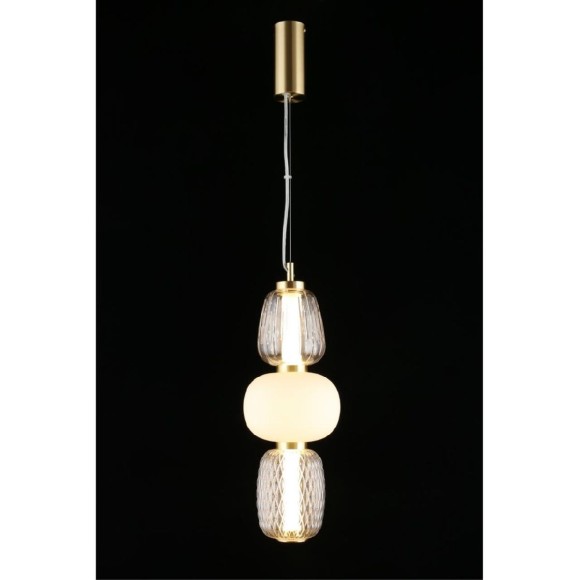 Подвесной светильник Aployt Simonet APL.318.06.29