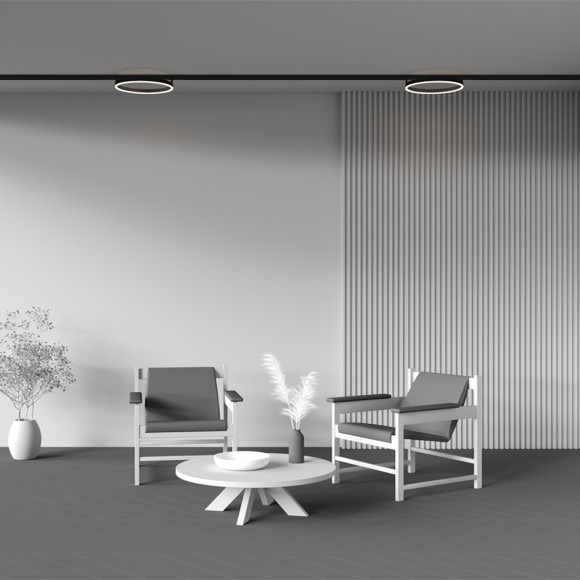 Трековый магнитный светильник Maytoni Rim TR227-2-24W3K-B