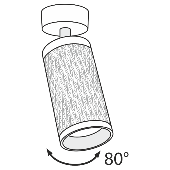 Потолочный светильник Maytoni Alfa C034CL-01G