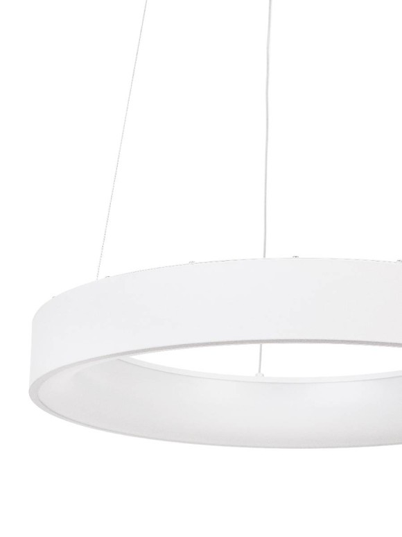 Подвесная светодиодная люстра с пультом управления Myfar Shannon MR2191-1PL