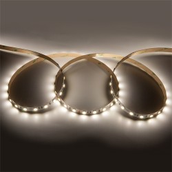 Светодиодная лента General GLS-5050-60-14.4-24-IP20-PRM-4 502341