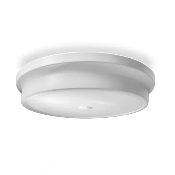 Потолочная люстра Arti Lampadari Tavoleto L 1.13.32 W
