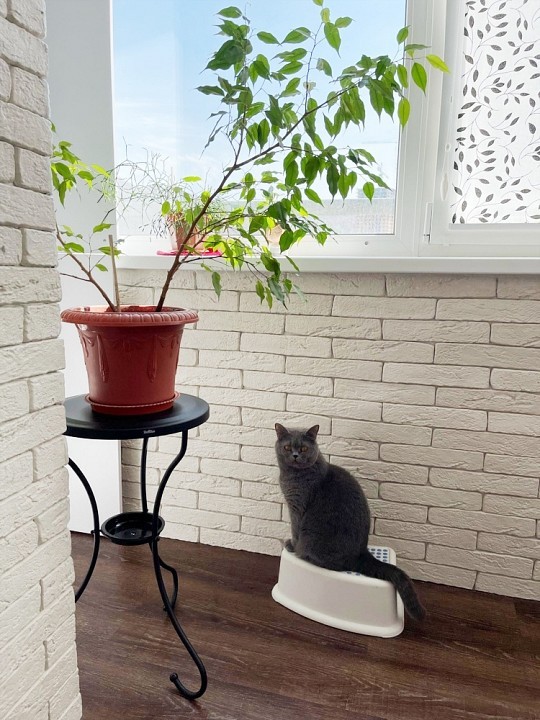 Стол журнальный SHT-CT10-1 She_4148353806