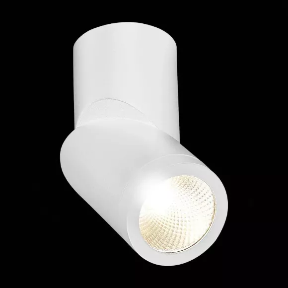 Светодиодный спот ST Luce ST650.532.10 Светодиодный спот ST Luce ST650.532.10