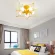 Потолочная люстра ImperiumLoft Asteri 178357-26