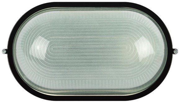 Настенно-потолочный светильник Эра НБП 04-100-001 черный Б0063863