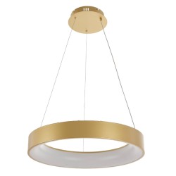 Подвесная светодиодная люстра с пультом управления Myfar Shannon MR2192-1PL