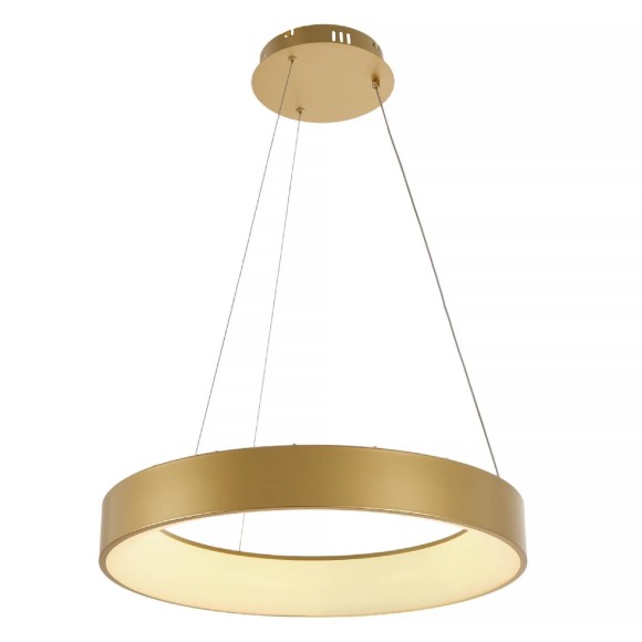 Подвесная светодиодная люстра с пультом управления Myfar Shannon MR2192-1PL