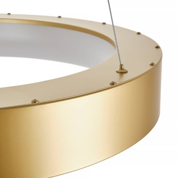 Подвесная светодиодная люстра с пультом управления Myfar Shannon MR2192-1PL