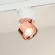 Трековый трехфазный светильник Arlight SP-PLURIO-TRACK-4TR-R77-9W Day4000 038102