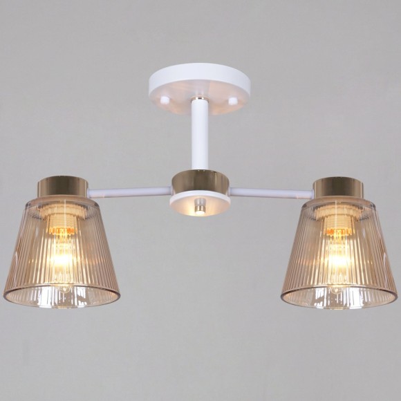 Потолочный светильник Reluce 20560-0.3-02 WH+FG