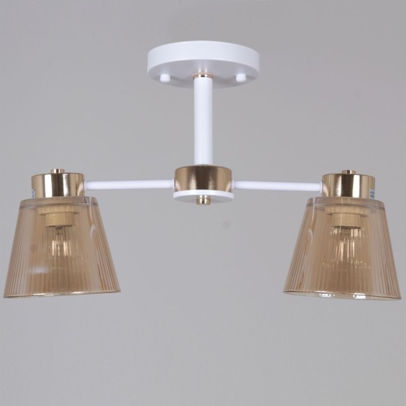 Потолочный светильник Reluce 20560-0.3-02 WH+FG