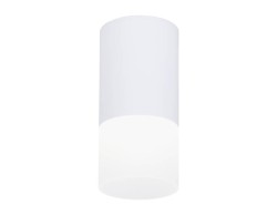 Потолочный светодиодный светильник Ambrella Light Techno Spot TN231