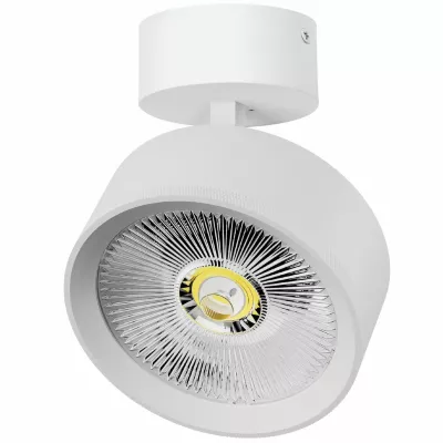 Накладной светильник Alta Pro Lightstar A5736SO