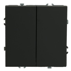 Выключатель 2-клавишный Stekker Эмили RSW10-5104-10ZK 50247