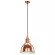 Подвесной светильник Lightstar Loft 765013
