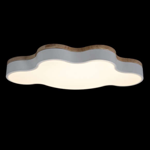 Потолочный светильник Loft IT AXEL 10005/36 White