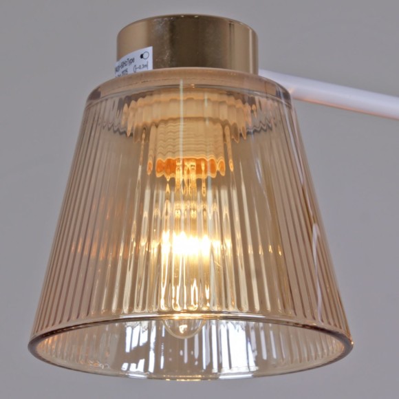 Потолочный светильник Reluce 20560-0.3-03 WH+FG