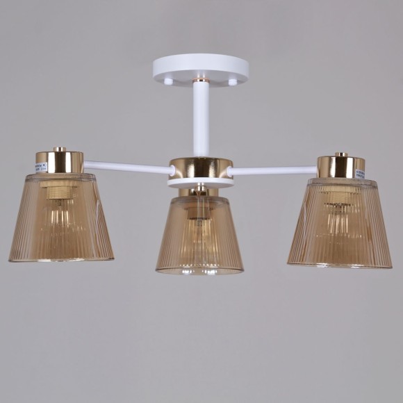 Потолочный светильник Reluce 20560-0.3-03 WH+FG