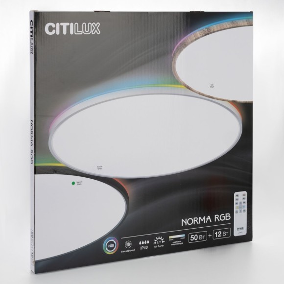 Потолочный светильник Citilux Norma CL749601