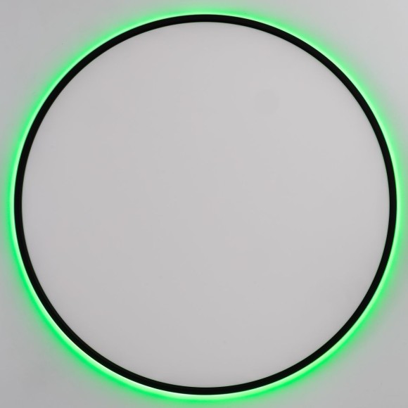 Потолочный светильник Citilux Norma CL749601