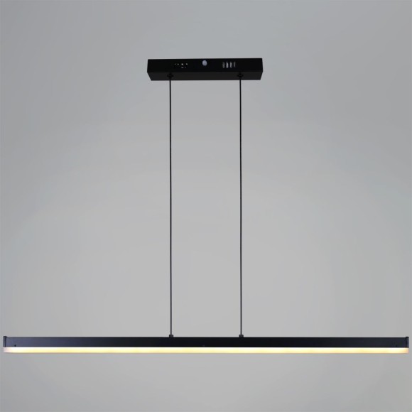 Подвесной светильник Reluce 13602-0.4-01 BK