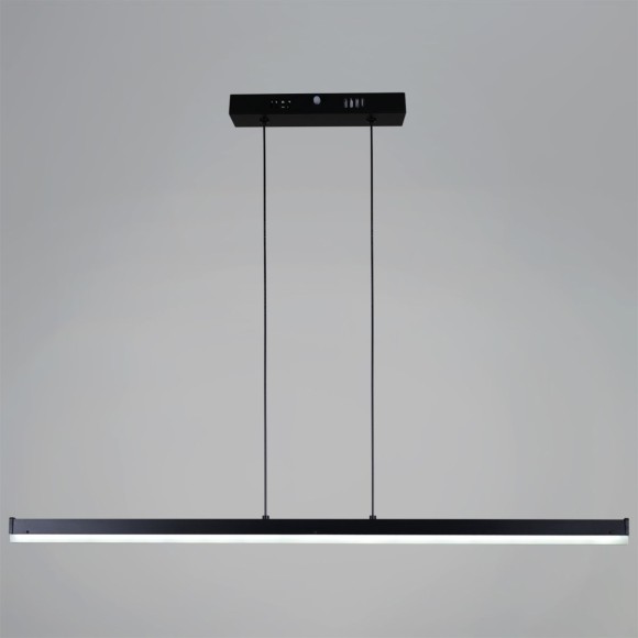 Подвесной светильник Reluce 13602-0.4-01 BK