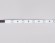 Светодиодная лента Ambrella Light LED Strip 24В 5050 7,2Вт/м RGB 5м IP20 GS4301